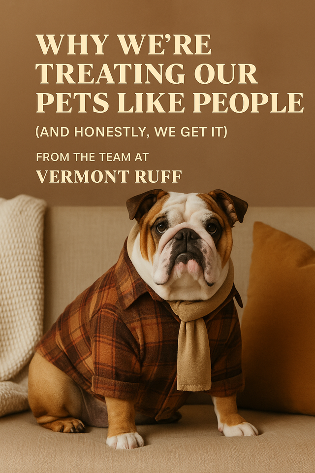 Why We're Treating Our Pets Like People (And Honestly, We Get It)