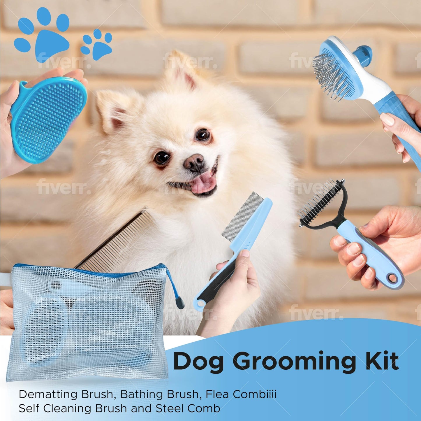 Cat and Dog Brushes for Grooming – Pet Grooming Kit with Brushes, Grooming Loop Leash and Apron – Professional Dog Grooming Supplies with Dematting Comb, Slicker Brush, Dog Bath Brush