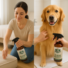 Home Freshness - Starter