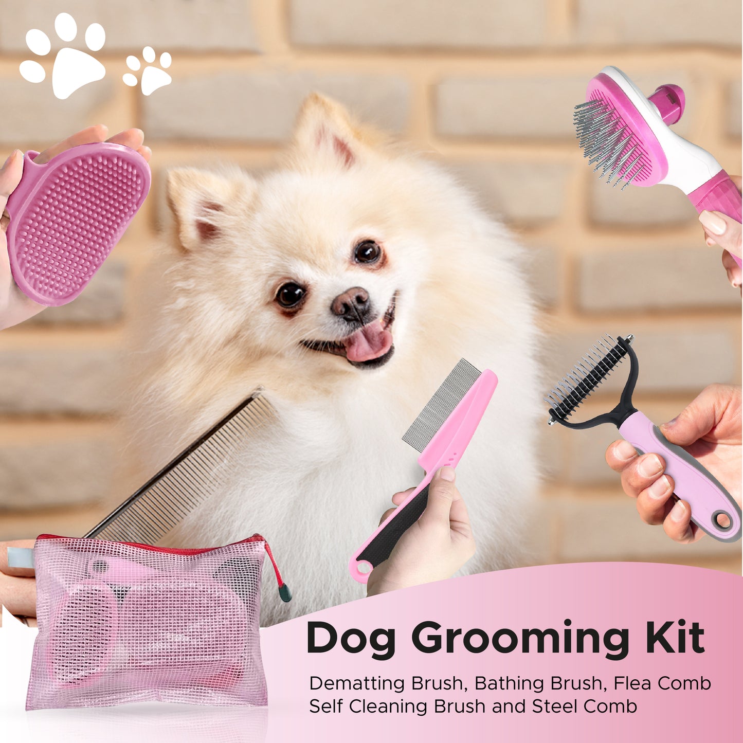 Cat and Dog Brushes for Grooming – Pet Grooming Kit with Brushes, Grooming Loop Leash and Apron – Professional Dog Grooming Supplies with Dematting Comb, Slicker Brush, Dog Bath Brush